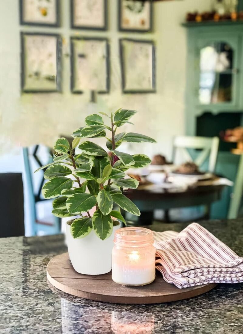 Plantas Artificiales de 22 cm en macetas para la decoración del hogar Planta de Interior de Camelia Artificial, arreglos Florales Decoración del hogar y la Oficina Bonsai de Escritorio - Imagen 2