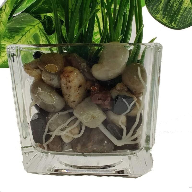 Aisamco - Juego de 3 Plantas Artificiales de imitación verdor de Mesa con macetas de Vidrio Claro, Plantas de Seda en un florero de Vidrio de imitación verdor Plantas en Maceta para decoración de - Imagen 5