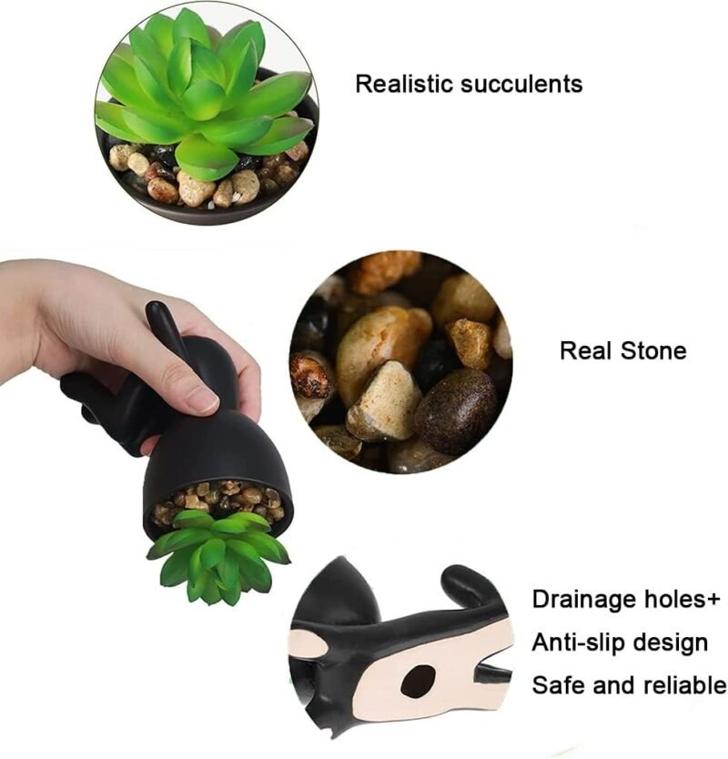 Laelfe 3 Pcs Plantas Suculentas Artificiales en Maceta, Plantas Artificiales Decorativas Pequeñas Suculentas Artificiales Decoración para Hogar Oficina Mesa Escritorio Sala de Estar - Imagen 3