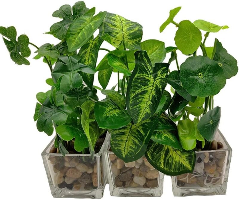 Aisamco - Juego de 3 Plantas Artificiales de imitación verdor de Mesa con macetas de Vidrio Claro, Plantas de Seda en un florero de Vidrio de imitación verdor Plantas en Maceta para decoración de - Imagen 6
