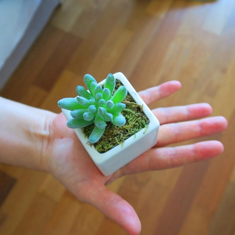 iubihome - Plantas Artificiales Decorativas Pequeñas, Suculentas Artificiales en Mini Macetas de Cerámica y Bandeja de Bambú - Imagen 5
