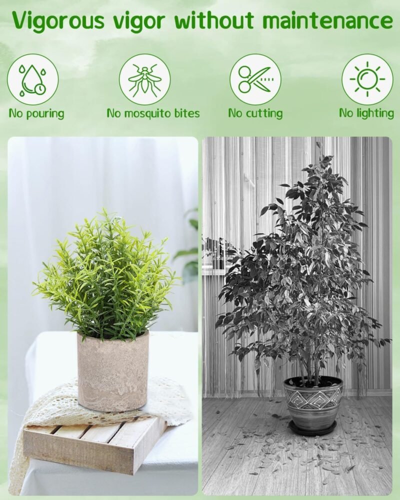 5 Pcs Plantas Artificiales Decorativas en Maceta, Hierba Suculenta de Arbustos de Imitación, Flor Falsa, Pequeña Planta Exterior Interior, Ideales para la Decoración de la Casa - Imagen 4