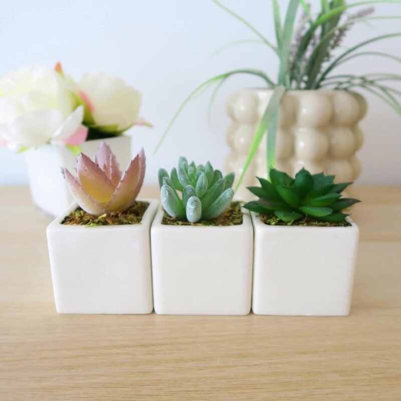 iubihome - Plantas Artificiales Decorativas Pequeñas, Suculentas Artificiales en Mini Macetas de Cerámica y Bandeja de Bambú - Imagen 4