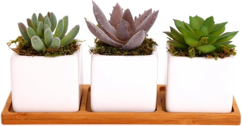 iubihome - Plantas Artificiales Decorativas Pequeñas, Suculentas Artificiales en Mini Macetas de Cerámica y Bandeja de Bambú