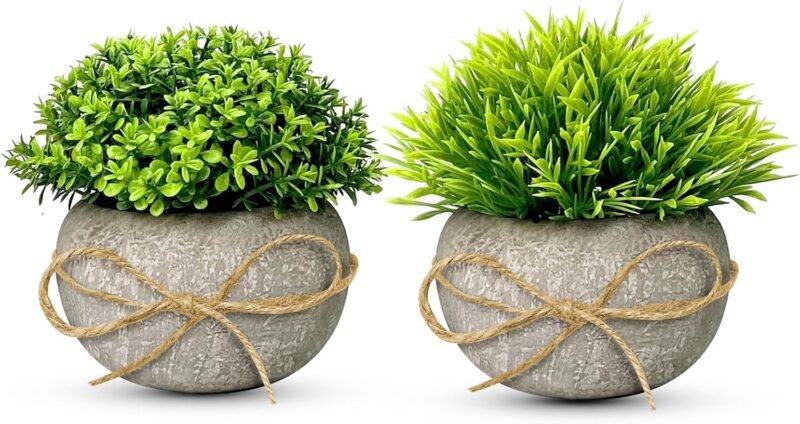 TFCIOD 2 Piezas Plantas Artificiales Decorativas, Planta Artificial Pequeña, Mini Ecologización Macetas Artificiales Decorativas, Fake Plants para Cocina, Salón,Oficina Mesa, Decoracion (003)