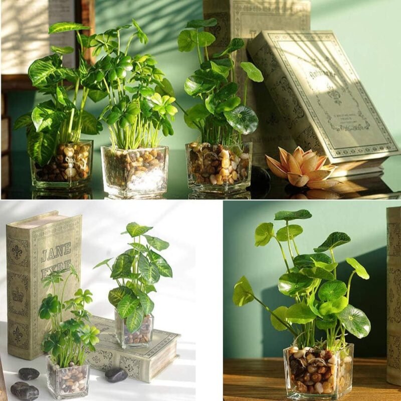 Aisamco - Juego de 3 Plantas Artificiales de imitación verdor de Mesa con macetas de Vidrio Claro, Plantas de Seda en un florero de Vidrio de imitación verdor Plantas en Maceta para decoración de - Imagen 7