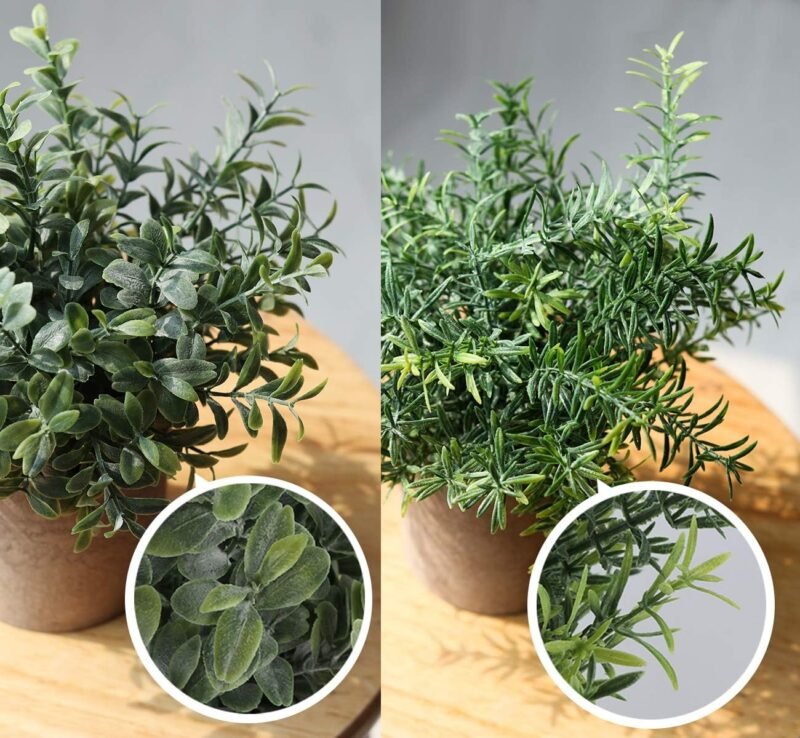 ilauke 3 Mini Plantas Artificiales Decorativas en Maceta de Eucalipto de Plástico, Plantas de Romero Sintético para Hogar, Jardín, Oficina, Balcón, Ventana, Escritorio, Decoración de Habitación - Imagen 3