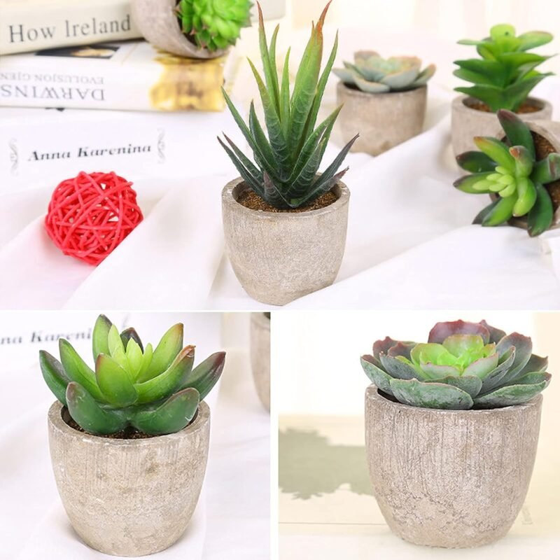 Frasheng 6 Piezas de Plantas Suculentas Artificiales en Macetas,Verdes, Mini Planta Artificial Decorativa, para Oficina,Decoración del Hogar - Imagen 6