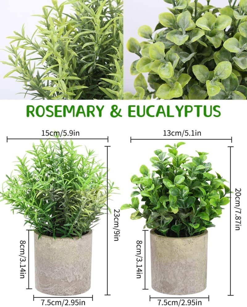 5 Pcs Plantas Artificiales Decorativas en Maceta, Hierba Suculenta de Arbustos de Imitación, Flor Falsa, Pequeña Planta Exterior Interior, Ideales para la Decoración de la Casa - Imagen 2