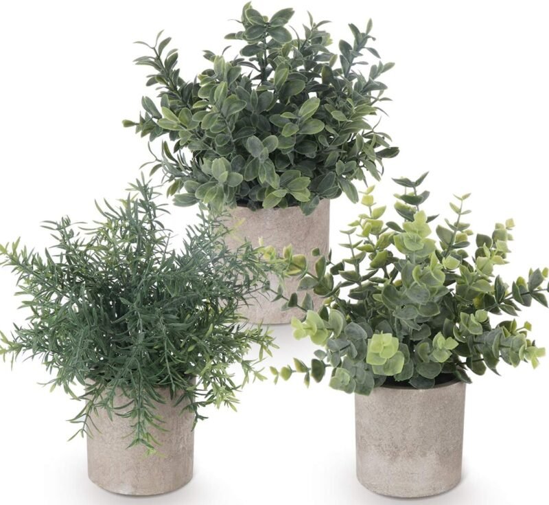 ilauke 3 Mini Plantas Artificiales Decorativas en Maceta de Eucalipto de Plástico, Plantas de Romero Sintético para Hogar, Jardín, Oficina, Balcón, Ventana, Escritorio, Decoración de Habitación