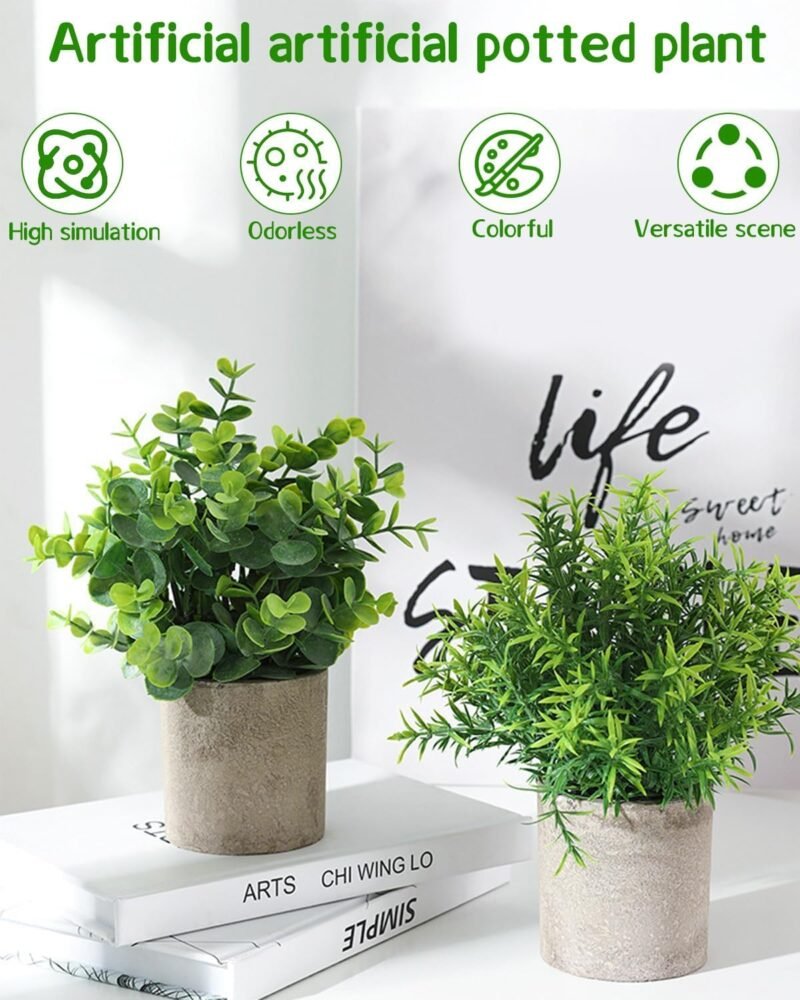 5 Pcs Plantas Artificiales Decorativas en Maceta, Hierba Suculenta de Arbustos de Imitación, Flor Falsa, Pequeña Planta Exterior Interior, Ideales para la Decoración de la Casa - Imagen 6
