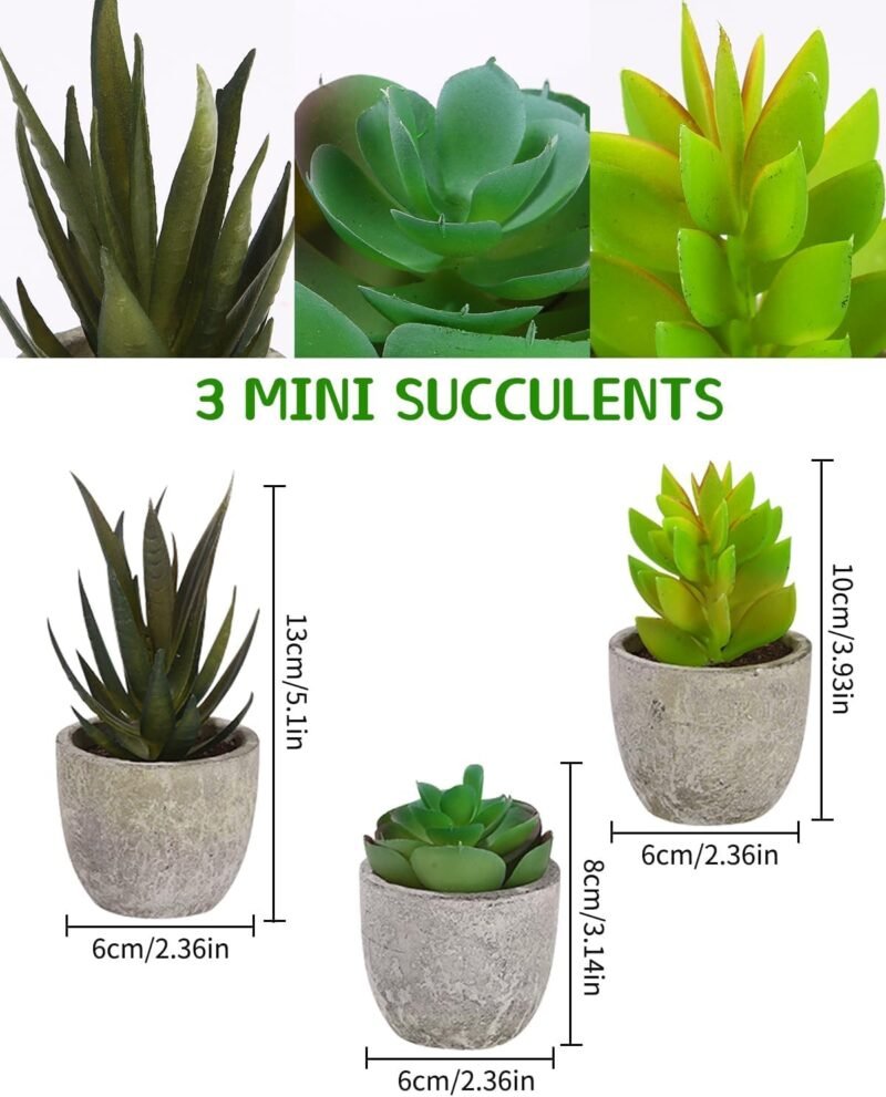 5 Pcs Plantas Artificiales Decorativas en Maceta, Hierba Suculenta de Arbustos de Imitación, Flor Falsa, Pequeña Planta Exterior Interior, Ideales para la Decoración de la Casa - Imagen 3
