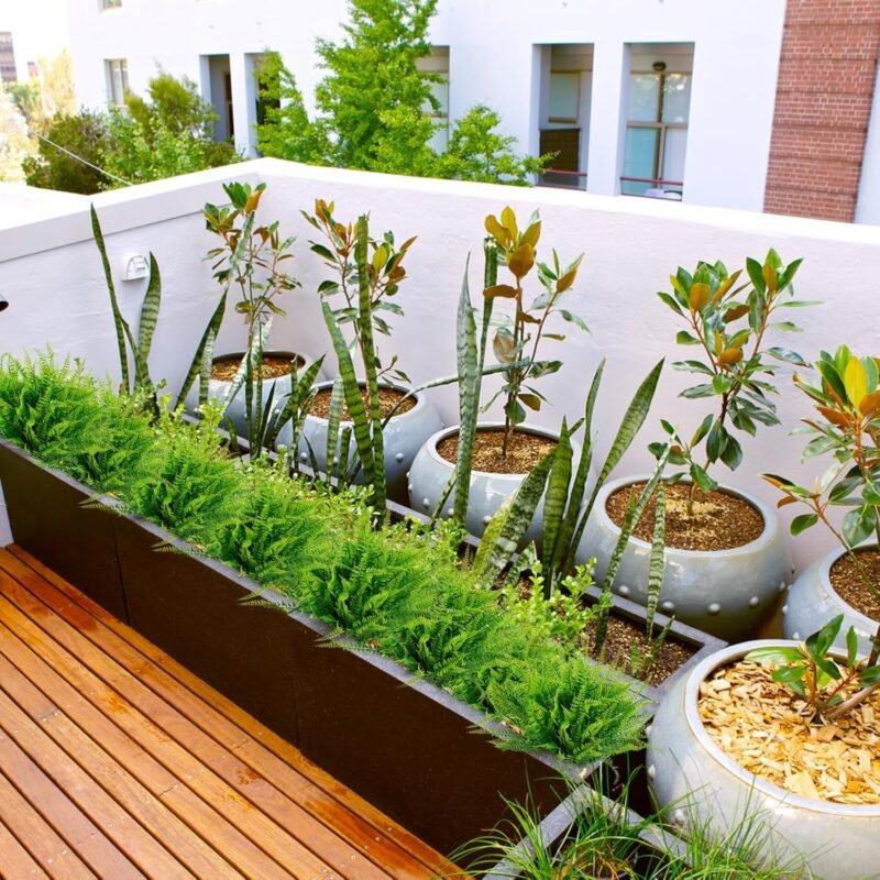 Hywean Homd 7 Piezas Boston de Helecho, Ramas Artificiales Decorativas de Plástico, Plantas Verdes Artificiales, Arbustos de Plástico, Helechos Decoración Pared Terraza, Boda, Jardín, Dormitorio - Imagen 5