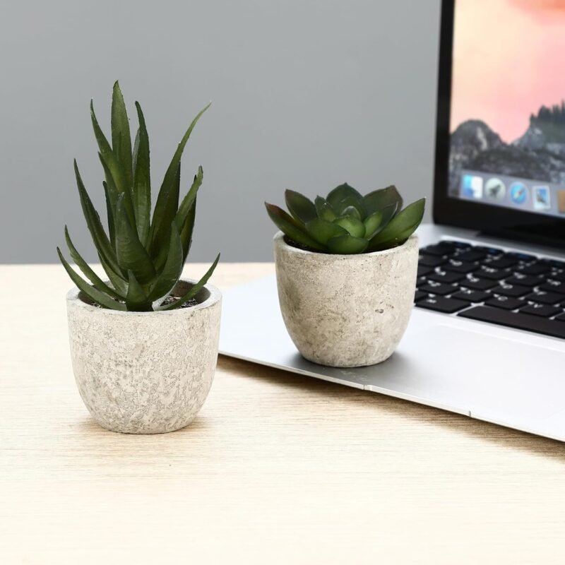 ZHYLUO 5 Piezas Plantas Decorativas, Mini Macetas Artificiales Lengua de Serpiente, Agave Suculentas, Aloe Garra de Águila para Decoración de Dormitorio Oficina - Imagen 7