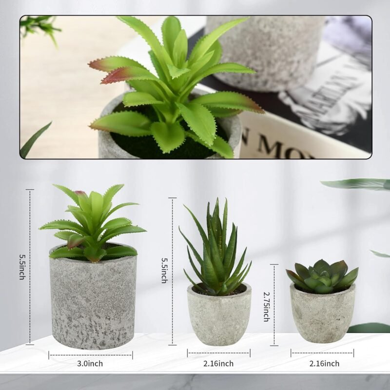 ZHYLUO 5 Piezas Plantas Decorativas, Mini Macetas Artificiales Lengua de Serpiente, Agave Suculentas, Aloe Garra de Águila para Decoración de Dormitorio Oficina - Imagen 3