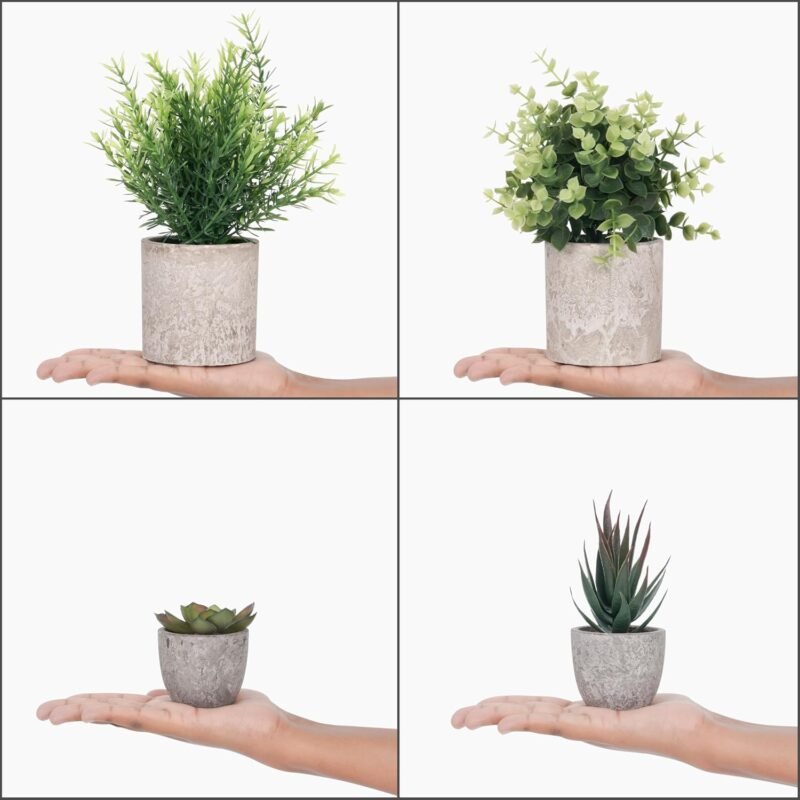 Winter Shore Planta Artificial Verde Pequeña (Pack de 4) - Plantas Artificiales Decorativas con Estilo Campesino - Maceta Interior para Baño y Escritorio de Oficina - Eucalipto y Plantas Suculentas - Imagen 2