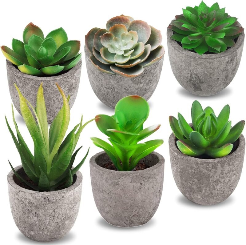 Frasheng 6 Piezas de Plantas Suculentas Artificiales en Macetas,Verdes, Mini Planta Artificial Decorativa, para Oficina,Decoración del Hogar