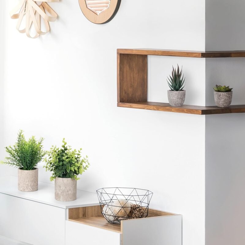 Winter Shore Planta Artificial Verde Pequeña (Pack de 4) - Plantas Artificiales Decorativas con Estilo Campesino - Maceta Interior para Baño y Escritorio de Oficina - Eucalipto y Plantas Suculentas - Imagen 3