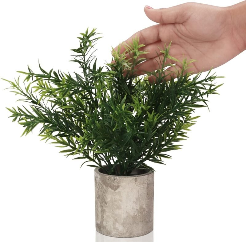 BELLE VOUS Mini Plantas Artificiales Decorativas Eucalipto en Maceta (Pack de 3) Follaje Pequeño en Macetas - Planta Artificial - Decoración Escritorio en Oficina, Hogar, Cocina, Jardín, Mesa, Ducha - Imagen 3