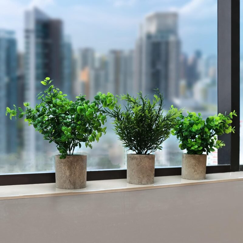 BELLE VOUS Mini Plantas Artificiales Decorativas Eucalipto en Maceta (Pack de 3) Follaje Pequeño en Macetas - Planta Artificial - Decoración Escritorio en Oficina, Hogar, Cocina, Jardín, Mesa, Ducha - Imagen 5