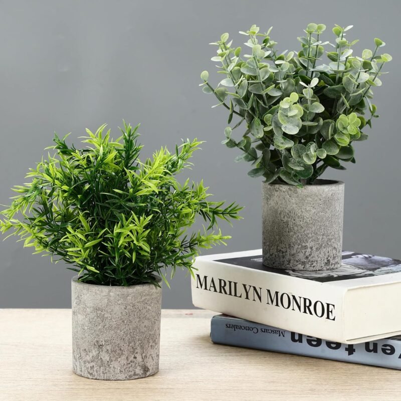 ZHYLUO 5 Piezas Plantas Decorativas, Mini Macetas Artificiales Lengua de Serpiente, Agave Suculentas, Aloe Garra de Águila para Decoración de Dormitorio Oficina - Imagen 6
