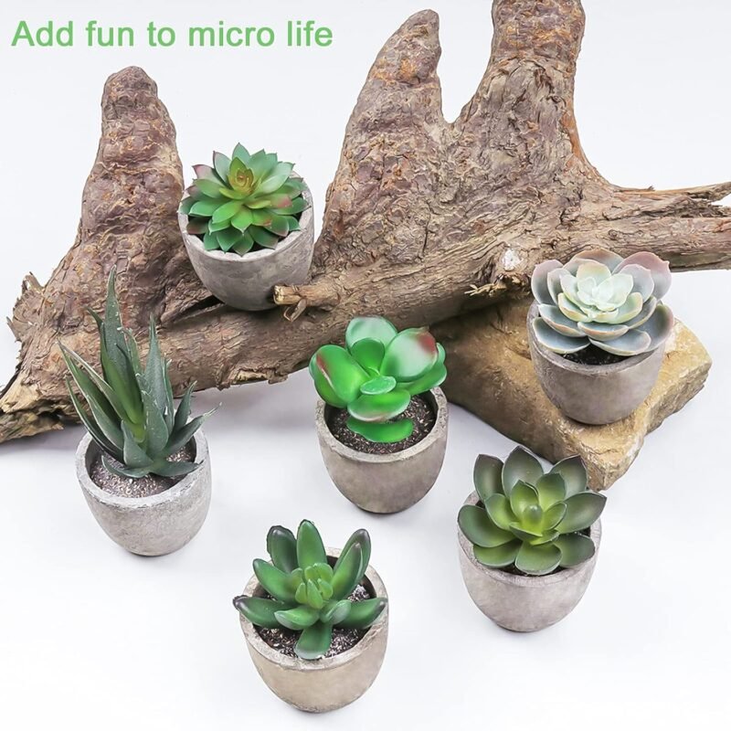 Frasheng 6 Piezas de Plantas Suculentas Artificiales en Macetas,Verdes, Mini Planta Artificial Decorativa, para Oficina,Decoración del Hogar - Imagen 4