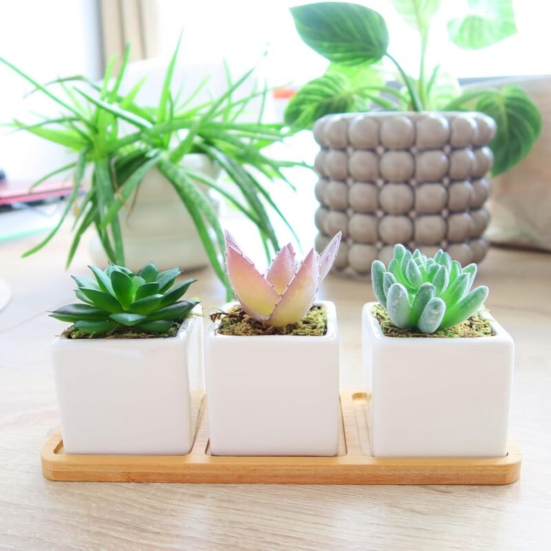 iubihome - Plantas Artificiales Decorativas Pequeñas, Suculentas Artificiales en Mini Macetas de Cerámica y Bandeja de Bambú - Imagen 2