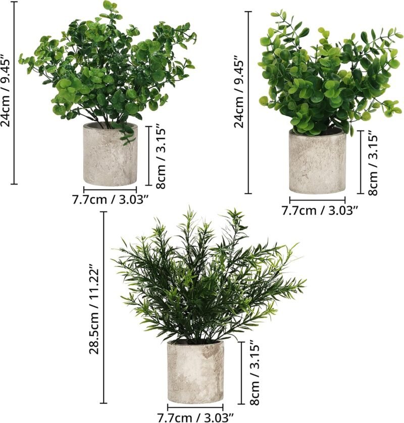 BELLE VOUS Mini Plantas Artificiales Decorativas Eucalipto en Maceta (Pack de 3) Follaje Pequeño en Macetas - Planta Artificial - Decoración Escritorio en Oficina, Hogar, Cocina, Jardín, Mesa, Ducha - Imagen 2