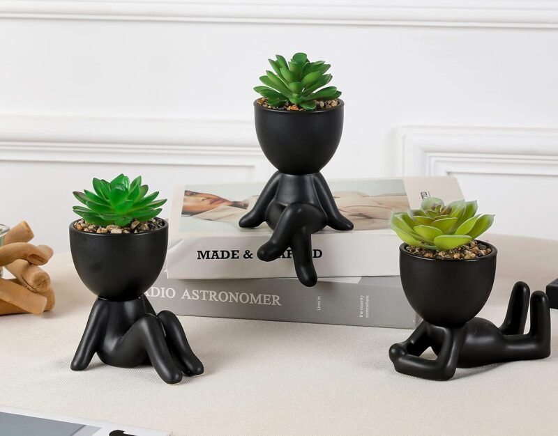 Laelfe 3 Pcs Plantas Suculentas Artificiales en Maceta, Plantas Artificiales Decorativas Pequeñas Suculentas Artificiales Decoración para Hogar Oficina Mesa Escritorio Sala de Estar - Imagen 6