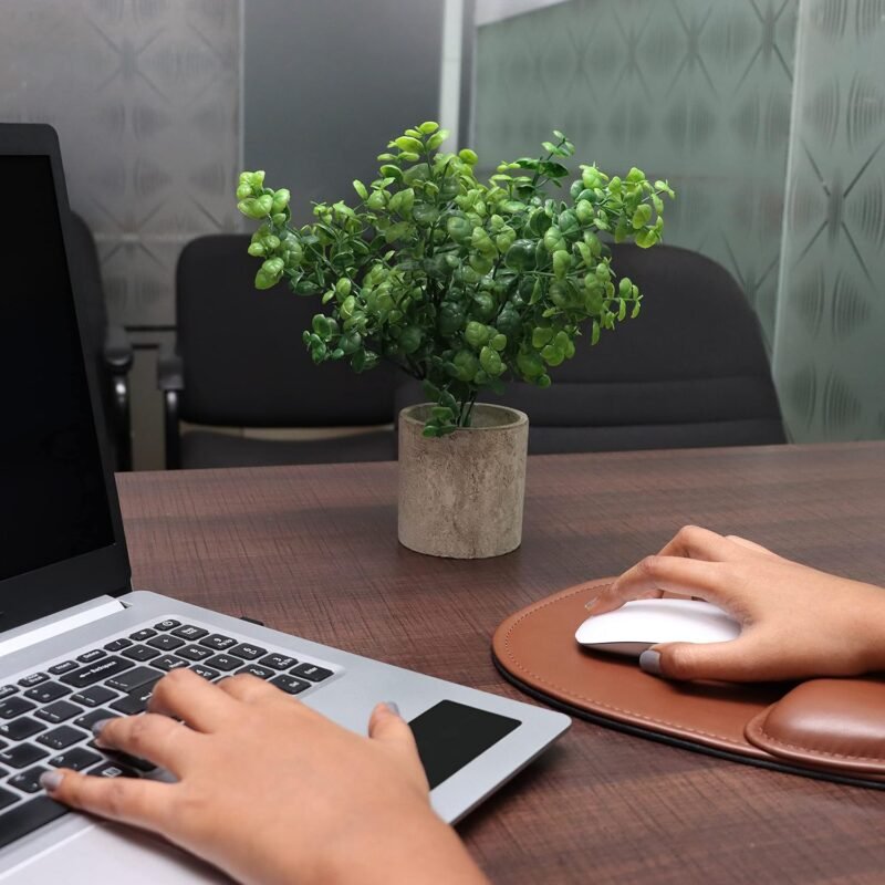 BELLE VOUS Mini Plantas Artificiales Decorativas Eucalipto en Maceta (Pack de 3) Follaje Pequeño en Macetas - Planta Artificial - Decoración Escritorio en Oficina, Hogar, Cocina, Jardín, Mesa, Ducha - Imagen 6