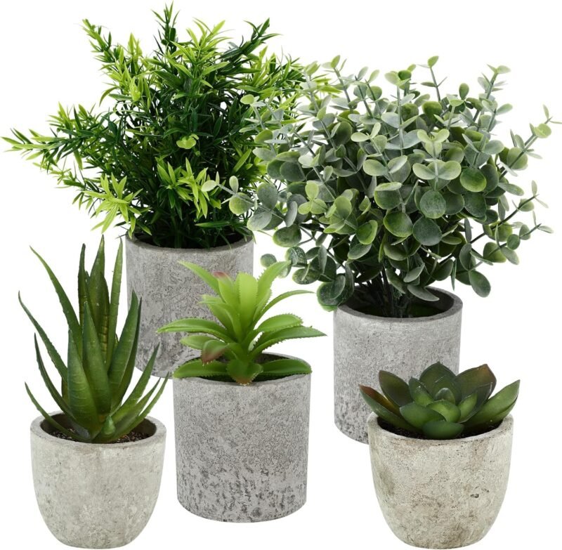 ZHYLUO 5 Piezas Plantas Decorativas, Mini Macetas Artificiales Lengua de Serpiente, Agave Suculentas, Aloe Garra de Águila para Decoración de Dormitorio Oficina