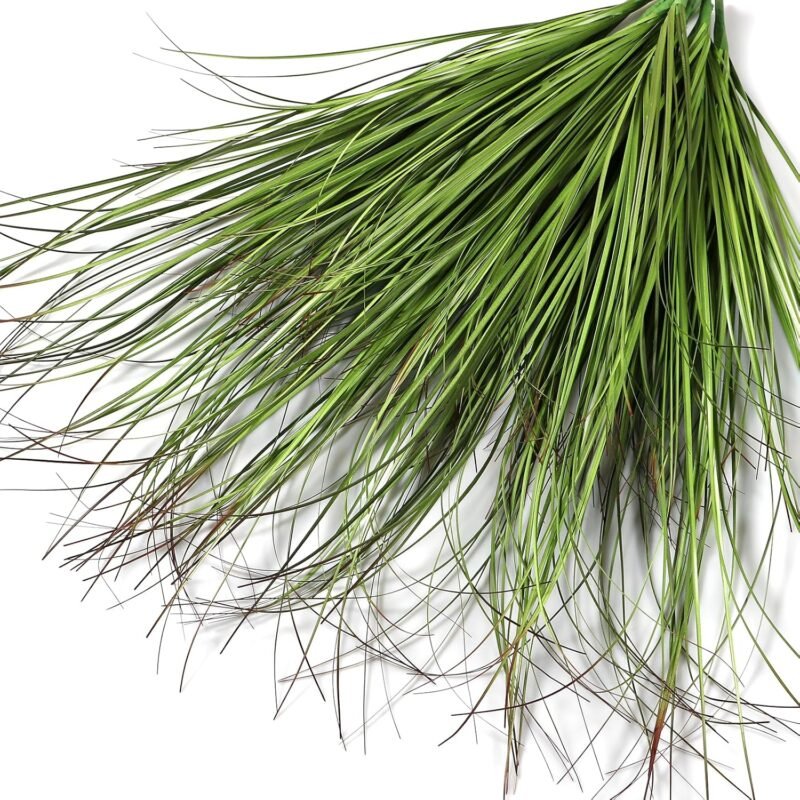 Betylifoy Plantas Artificiales de Exterior 12PCS Arbustos Verdes Artificiales Planta de Hierba de Trigo Artificial Tallos Verdes Artificiales para Jardinera Decoración de Jardín (12, Verde Oscuro) - Imagen 5