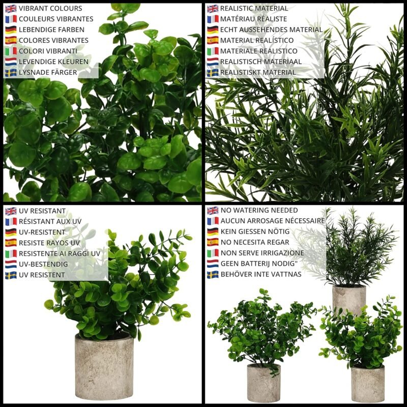 BELLE VOUS Mini Plantas Artificiales Decorativas Eucalipto en Maceta (Pack de 3) Follaje Pequeño en Macetas - Planta Artificial - Decoración Escritorio en Oficina, Hogar, Cocina, Jardín, Mesa, Ducha - Imagen 4