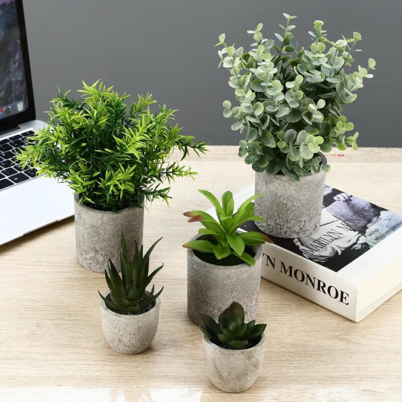 ZHYLUO 5 Piezas Plantas Decorativas, Mini Macetas Artificiales Lengua de Serpiente, Agave Suculentas, Aloe Garra de Águila para Decoración de Dormitorio Oficina - Imagen 4