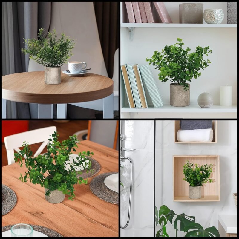 BELLE VOUS Mini Plantas Artificiales Decorativas Eucalipto en Maceta (Pack de 3) Follaje Pequeño en Macetas - Planta Artificial - Decoración Escritorio en Oficina, Hogar, Cocina, Jardín, Mesa, Ducha - Imagen 7