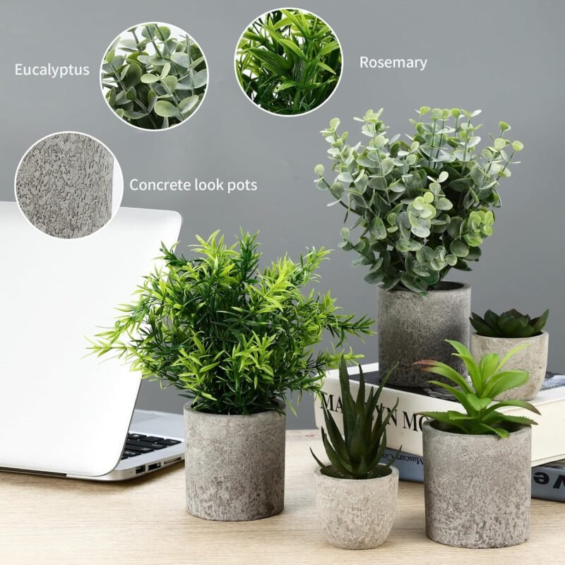 ZHYLUO 5 Piezas Plantas Decorativas, Mini Macetas Artificiales Lengua de Serpiente, Agave Suculentas, Aloe Garra de Águila para Decoración de Dormitorio Oficina - Imagen 5