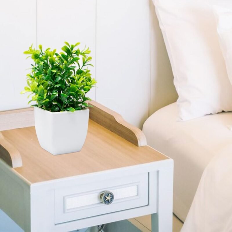 Rebanky 5 Piezas Mini Plantas Artificiales con Macetas Decorativas Plantas de Plástico Mini Ecologización Plantas Artificiales Plantas Falsas Verdes en Maceta para Hogar Baño Mesa de Despacho - Imagen 6