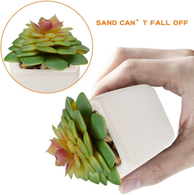 Plantas Suculentas Artificiales 4 Piezas, Plantas Falsas Pequeñas Mini Plantas Suculentas en Macetas, Planta Decorativa de Fuax para el Hogar Casa Mesa Balcón Oficina Interior Decoración Accesorios - Imagen 6