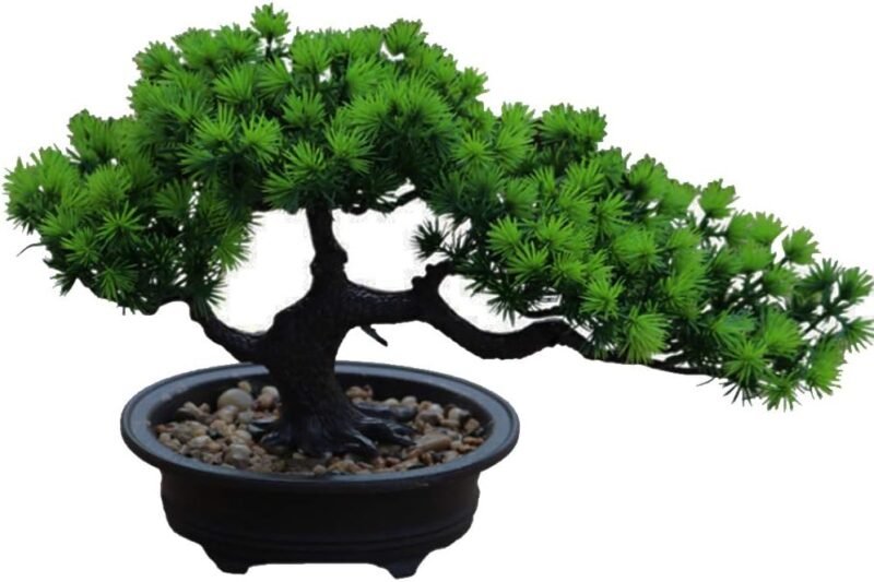 Aisamco Artificial Bonsai Tree Fake Plant Decoration Plantas Artificiales en macetas de la casa Japanese Pine Bonsai Plant 19 cm de Altura 34 cm de Ancho para la decoración del hogar Escritorio