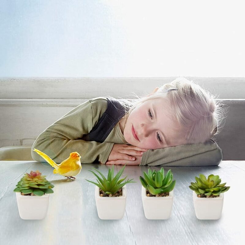Plantas Suculentas Artificiales 4 Piezas, Plantas Falsas Pequeñas Mini Plantas Suculentas en Macetas, Planta Decorativa de Fuax para el Hogar Casa Mesa Balcón Oficina Interior Decoración Accesorios - Imagen 3