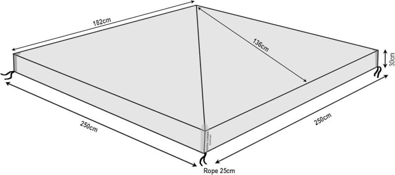 QUICK STAR Cenador protector 2,5 x 2,5 m, resistente al agua, transparente - Imagen 2