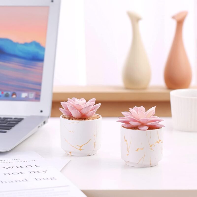 ZENIDA Plantas artificiales y suculentas en 2 macetas de cerámica blanca, pequeñas plantas falsas para decoración de oficina y escritorio, baño, dormitorio, estantes para mujer - Imagen 5