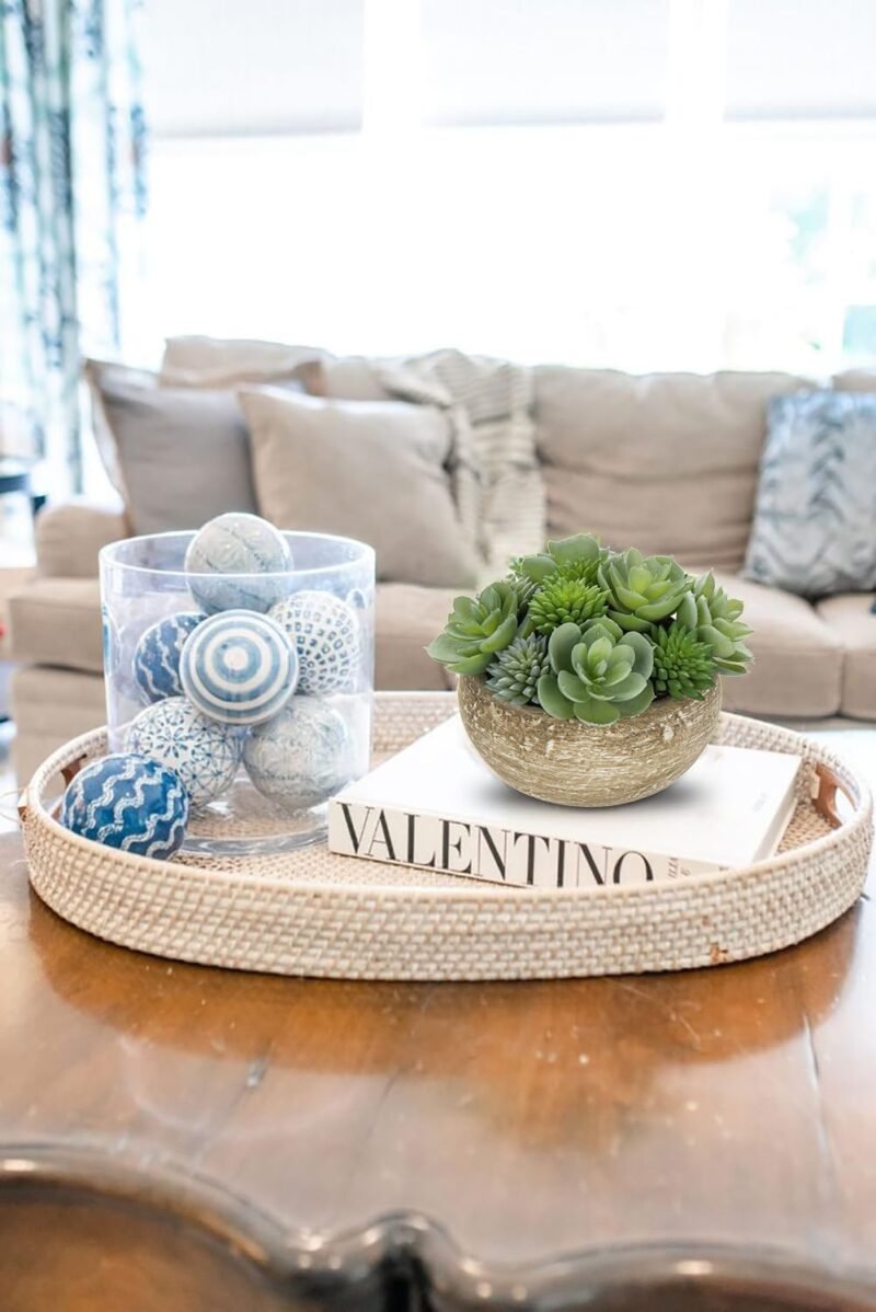 Hollyone Plantas suculentas artificiales de 11 cm en maceta de cemento, pequeñas suculentas falsas para decoración del hogar, planta de imitación decorativa para interiores para sala de estar, - Imagen 5