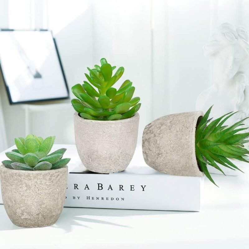 DAGORD - 3 suculentas artificiales con maceta, plantas falsas suculentas para interiores, plantas artificiales, para oficina, balcón, salón, jardín, mesa - Imagen 4