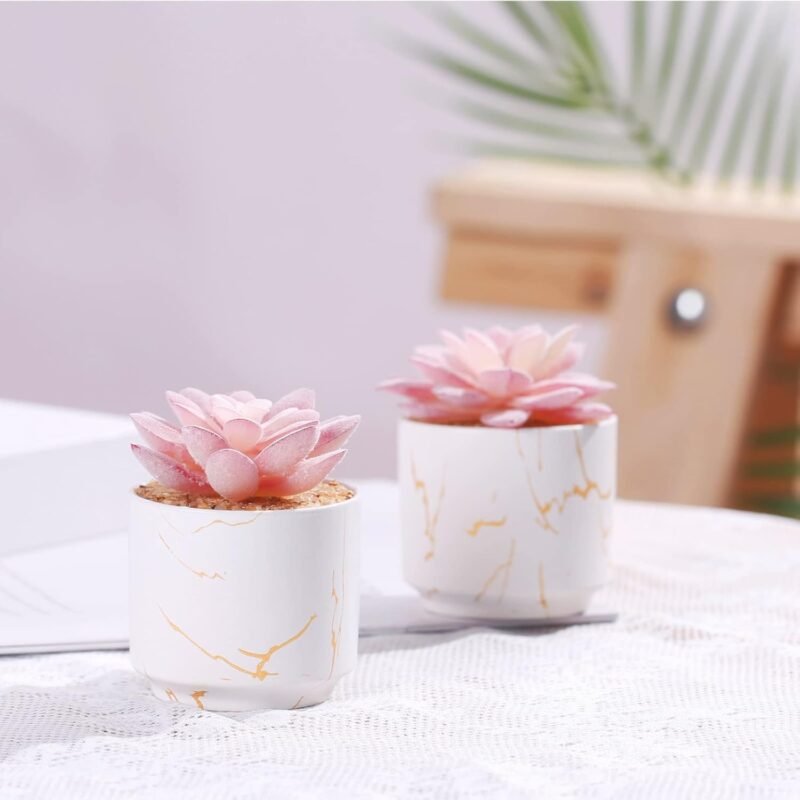 ZENIDA Plantas artificiales y suculentas en 2 macetas de cerámica blanca, pequeñas plantas falsas para decoración de oficina y escritorio, baño, dormitorio, estantes para mujer - Imagen 6