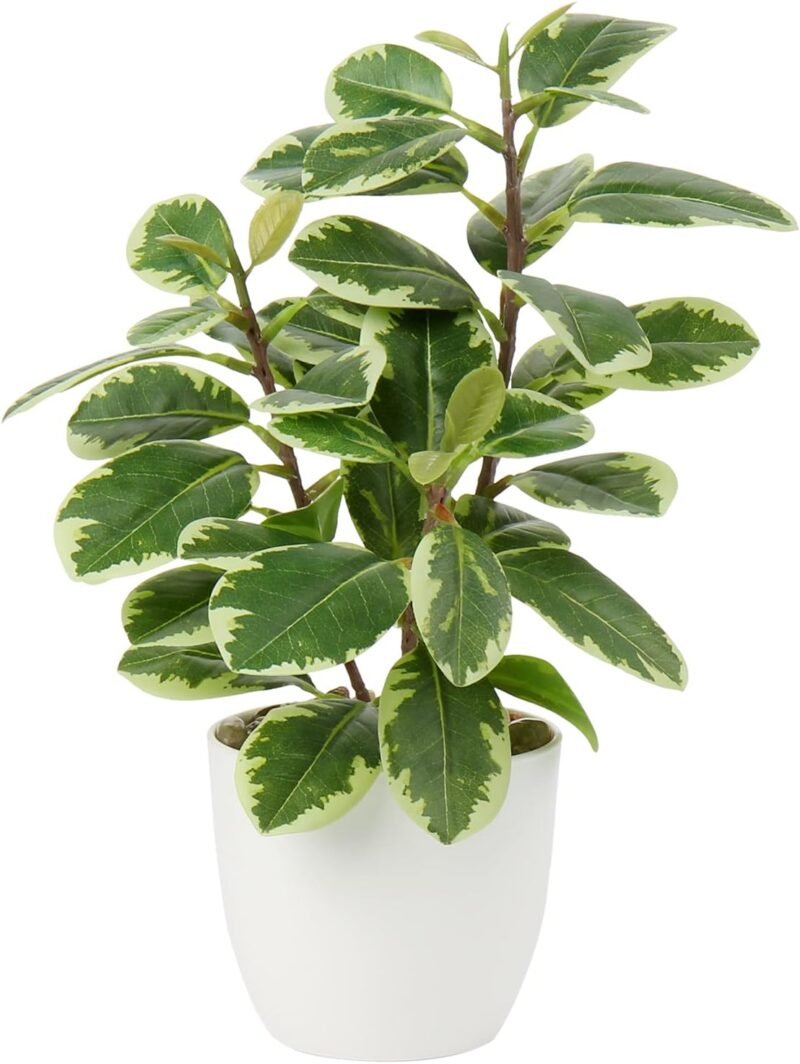 Planta Artificial de Camelia, Planta Falsa en Maceta, Plantas Artificiales de Camelia en Maceta para decoración del hogar, Oficina, Plantas de Mesa, Camelia, bonsái