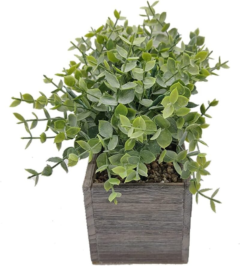 Aisamco Hojas de eucalipto Artificial en Caja de Madera Ramas de eucalipto Falsas Plantas en Maceta Gris Verde Vegetación Artificial para Boda Decoración Floral - Imagen 5