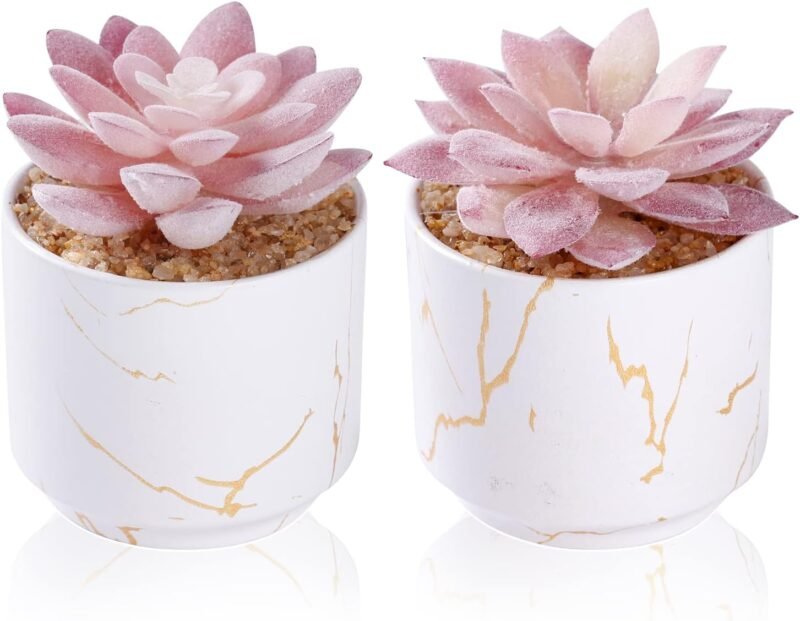ZENIDA Plantas artificiales y suculentas en 2 macetas de cerámica blanca, pequeñas plantas falsas para decoración de oficina y escritorio, baño, dormitorio, estantes para mujer