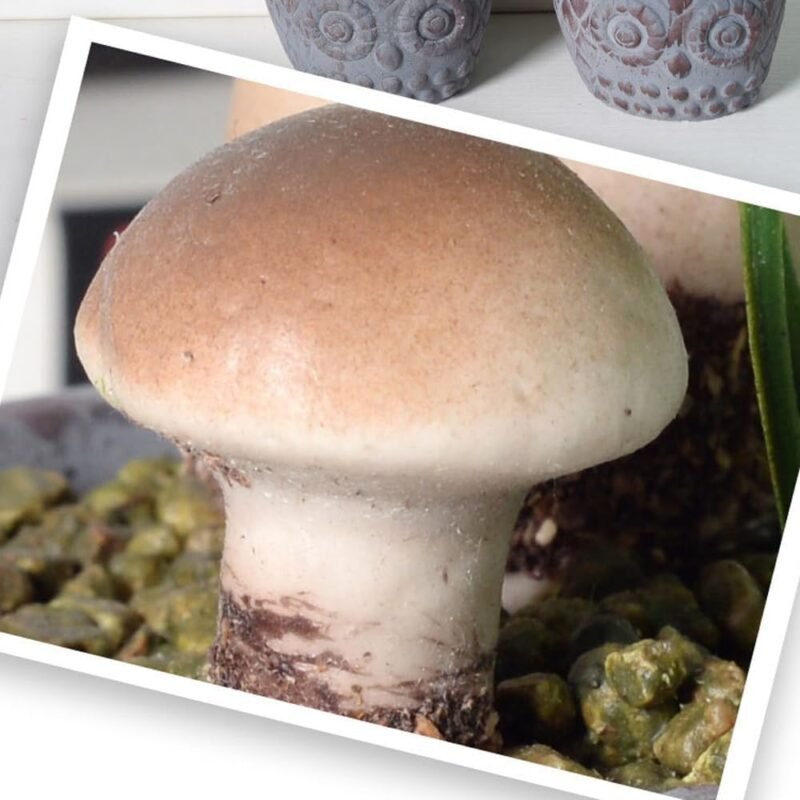 Aisamco 3 Plantas Artificiales en Maceta de Cerámica, Setas Artificiales en Maceta, Decoracion de Patios y Jardines - Imagen 4