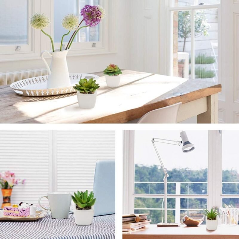 Plantas Suculentas Artificiales 4 Piezas, Plantas Falsas Pequeñas Mini Plantas Suculentas en Macetas, Planta Decorativa de Fuax para el Hogar Casa Mesa Balcón Oficina Interior Decoración Accesorios - Imagen 5